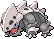 Kodora