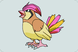 Pidgeotto