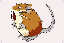 Raticate