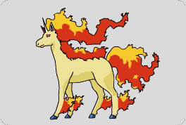 Rapidash