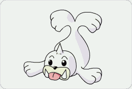 Seel