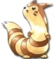 Furret