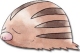 Swinub