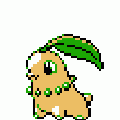 152:Chikorita