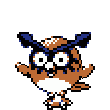 163:HootHoot