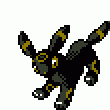 197:Umbreon