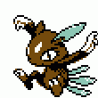 215:Sneasel
