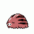 220:Swinub